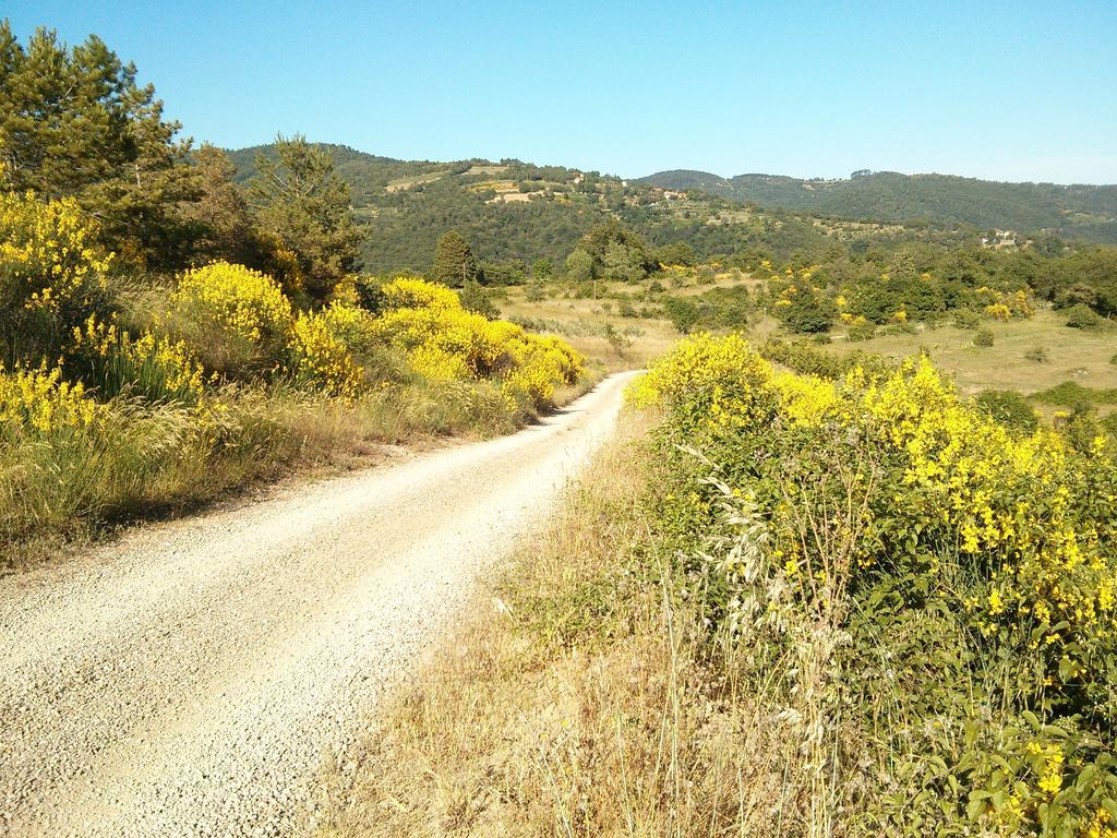 Forte Di Tregognano Chiaveretto Стая снимка